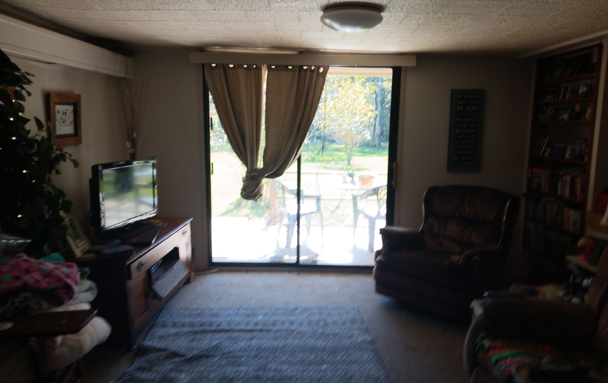 Living Room: Sea Monster Aesthetic,  Yellow Red Blue Aquamarine colors