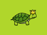 Turtle King X