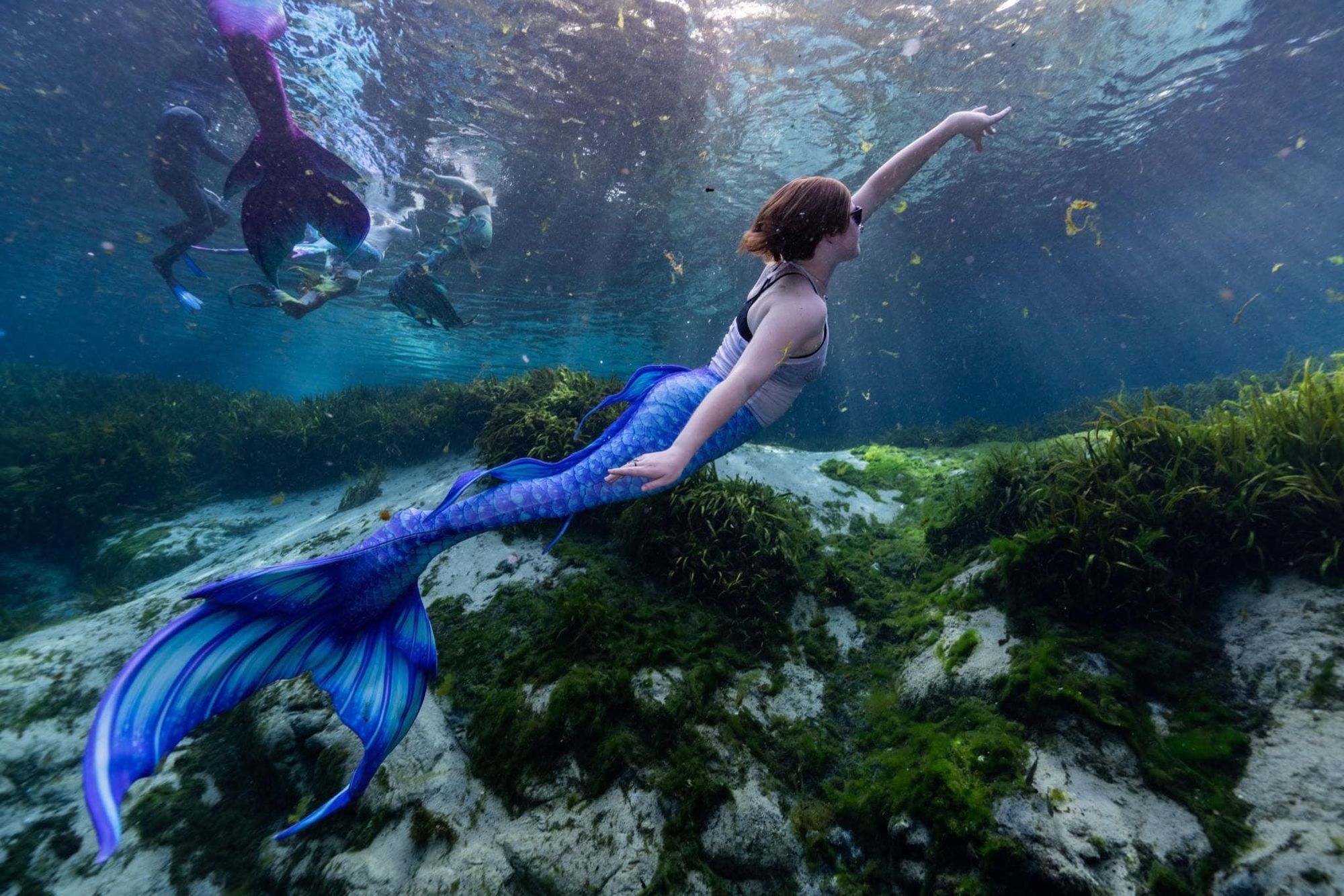 beautiful mermaid