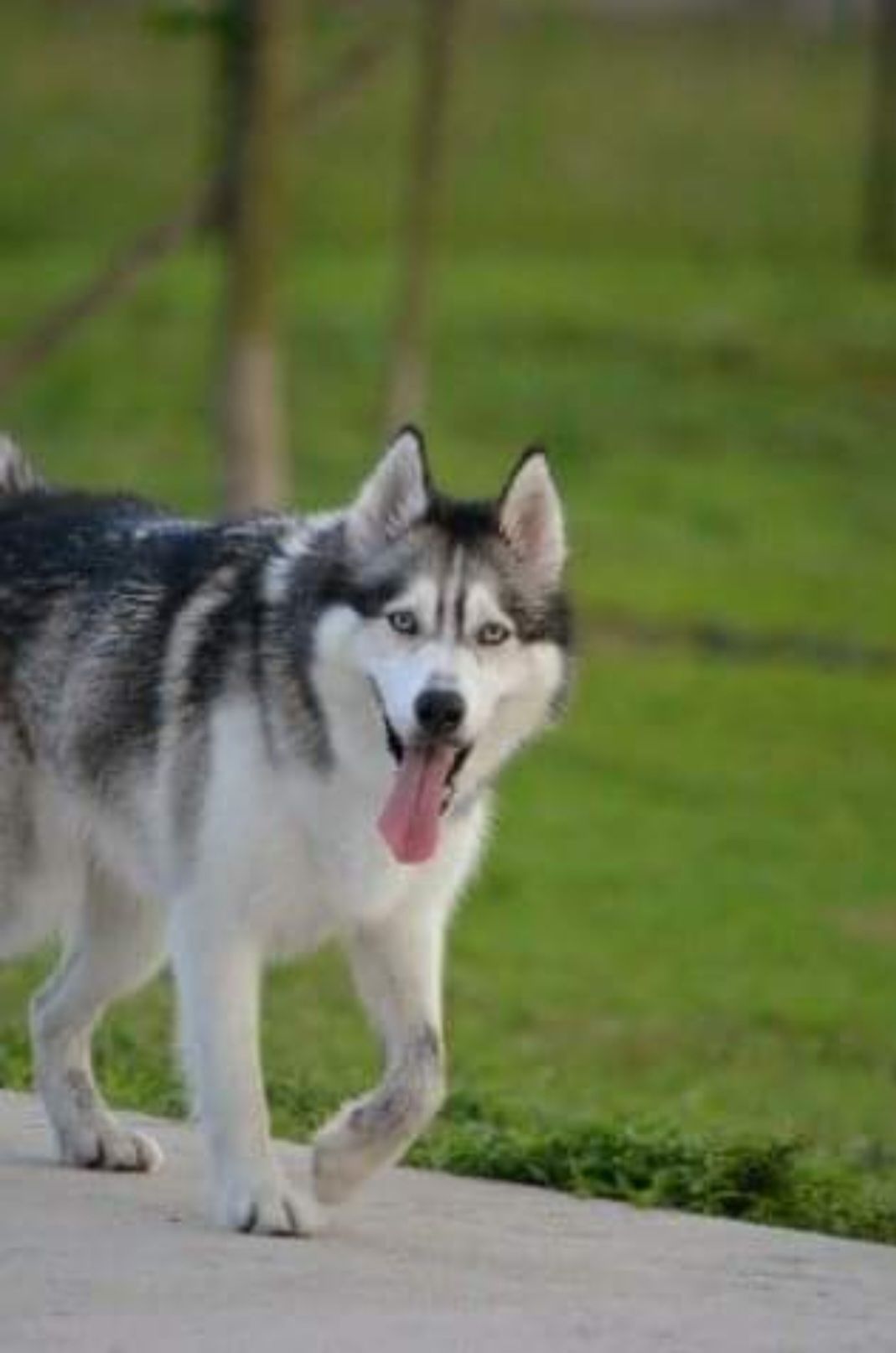 Image uploaded by user