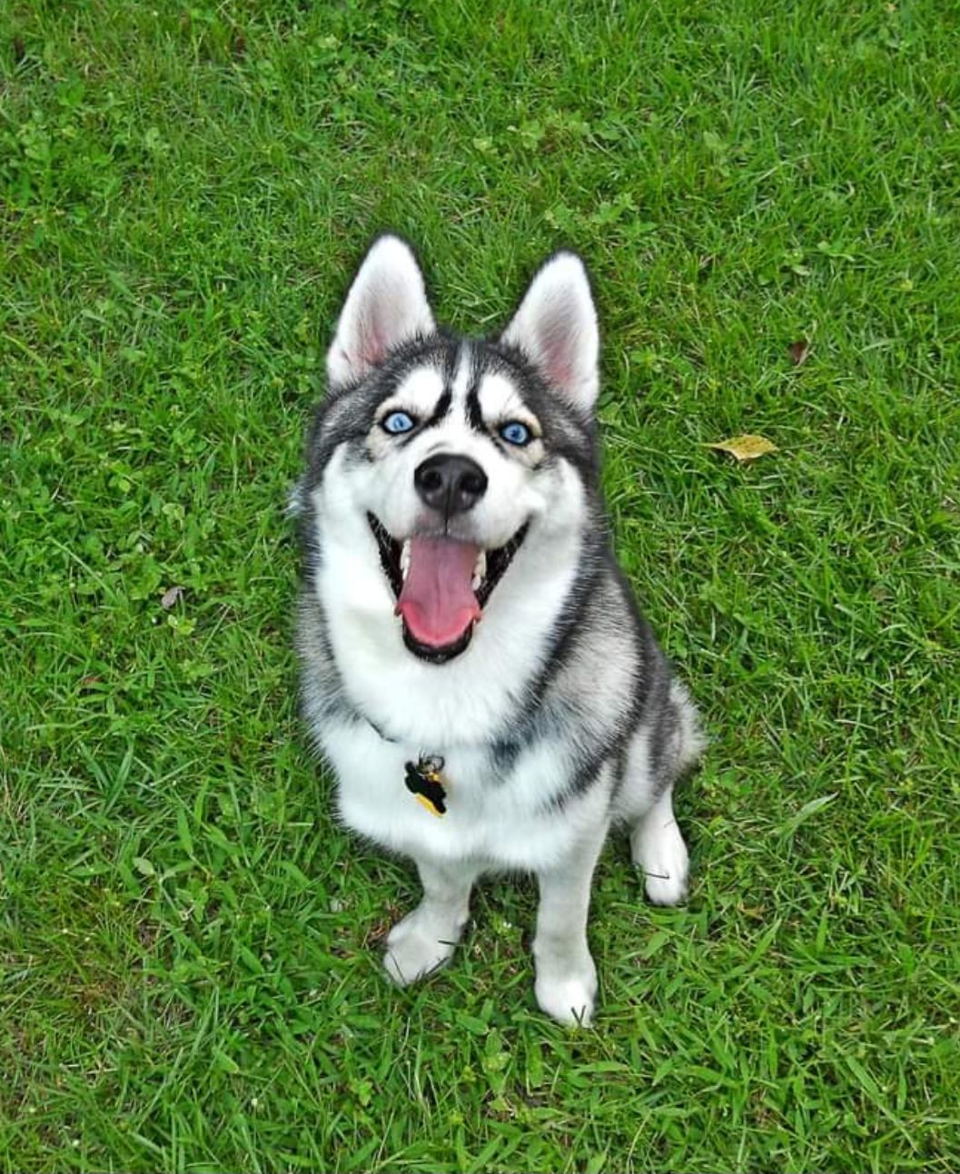 Image uploaded by user