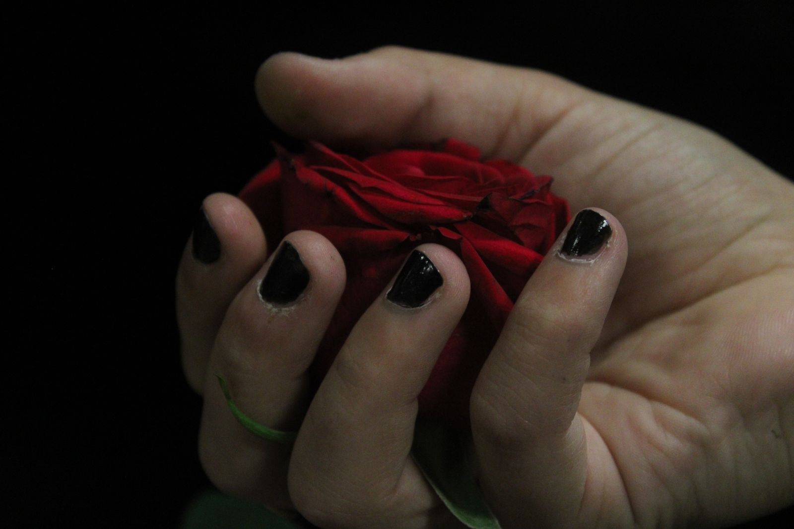 Gracie Dunstan-Weighell