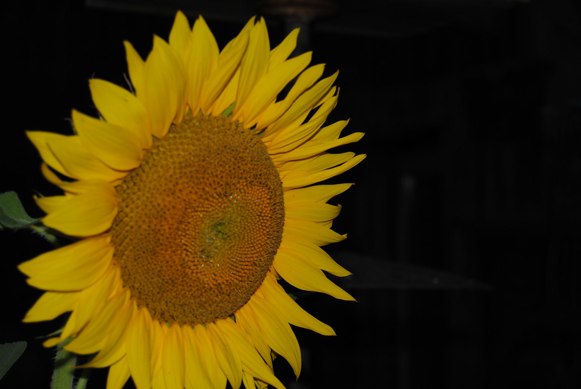 Image uploaded by user