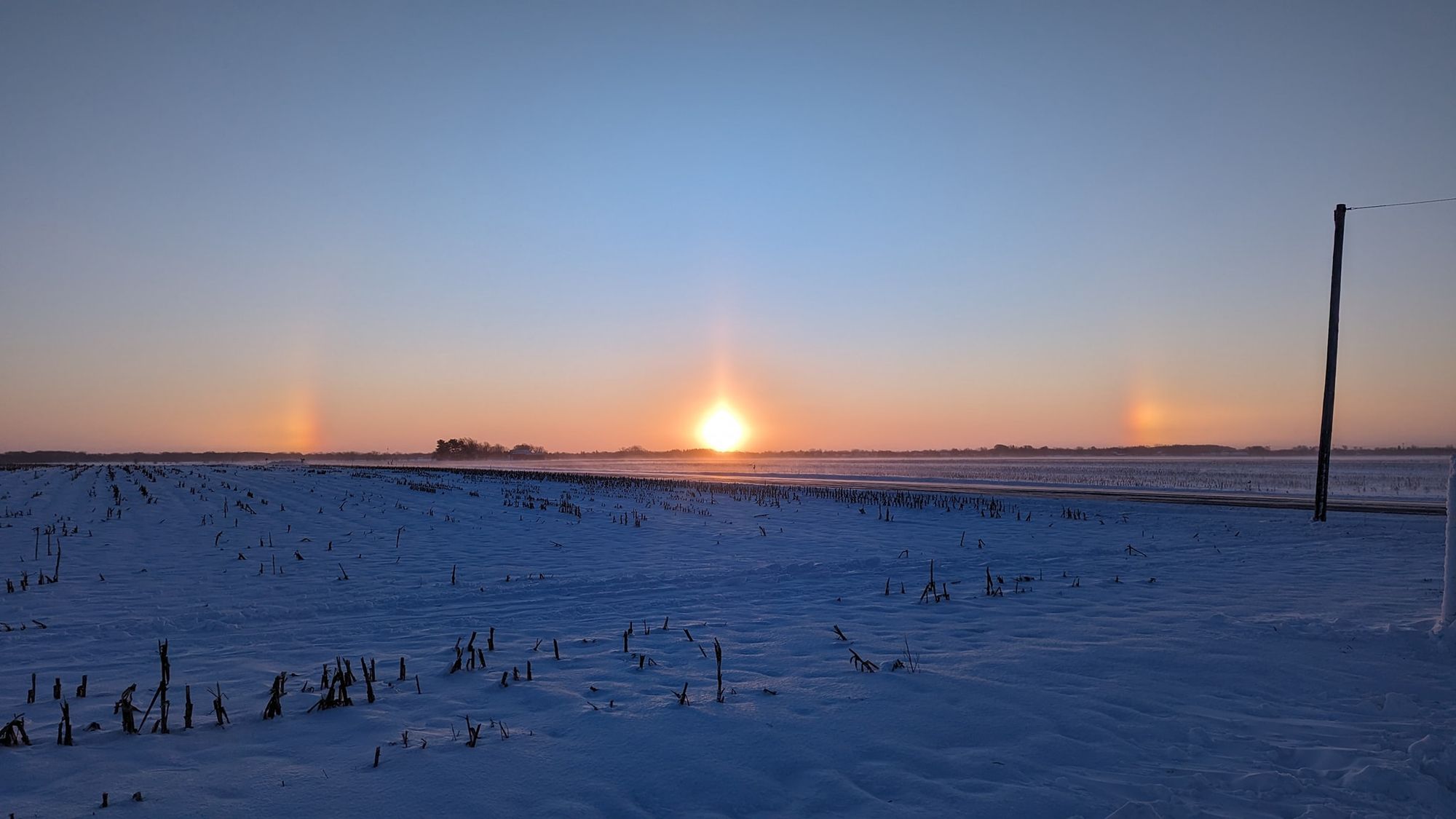 Large Fluffy Cats singing to Sunrise over the mountains heavenly sunshine beams divine bright soft focus holy in the clouds