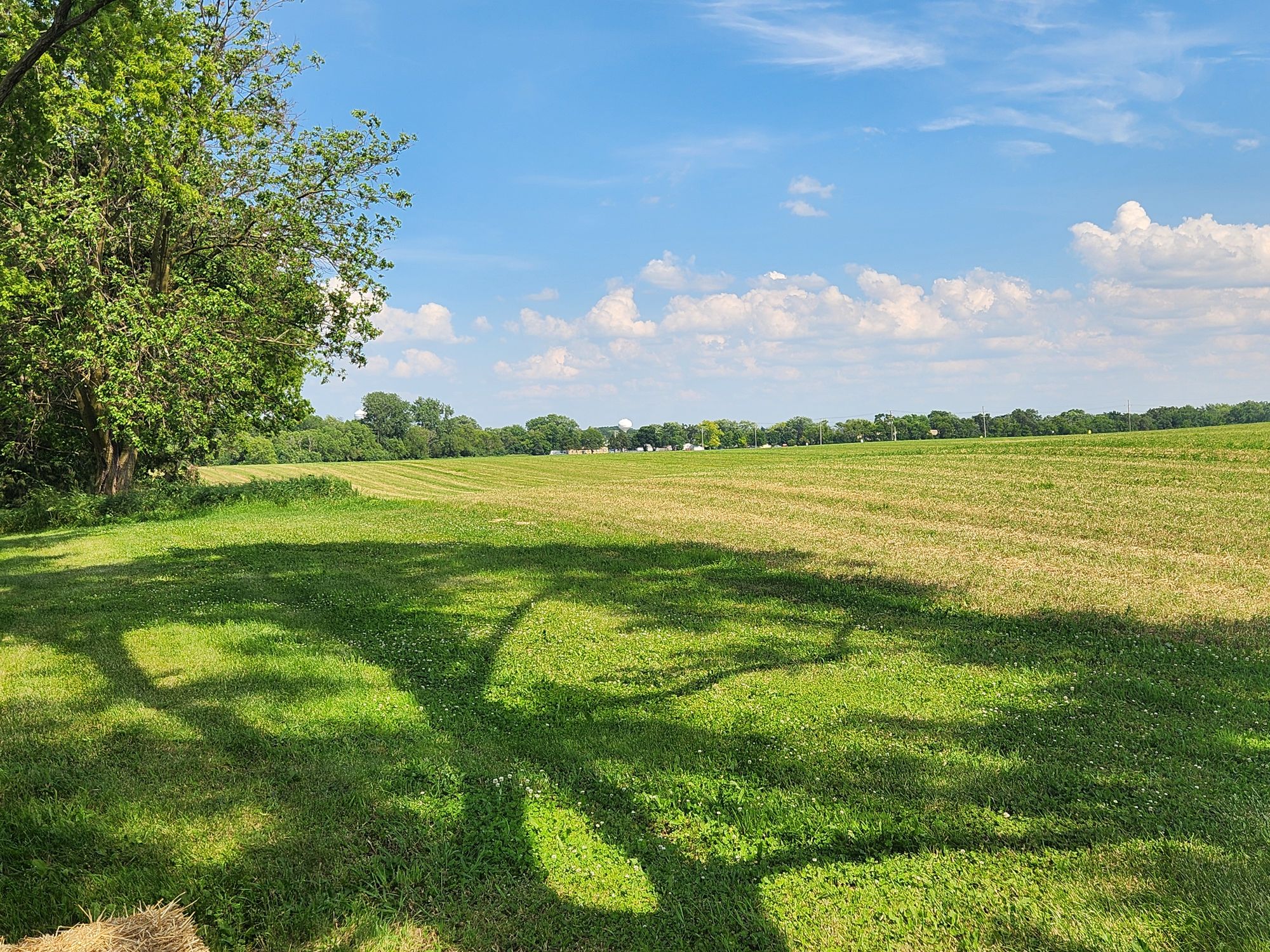 "12. My Fav Lora's<lora:Finkufreaky:1.0> "Vast Green Farm Field as far as the eye can see bright yellows, greens in shandes of dark and bright shadows off matu...