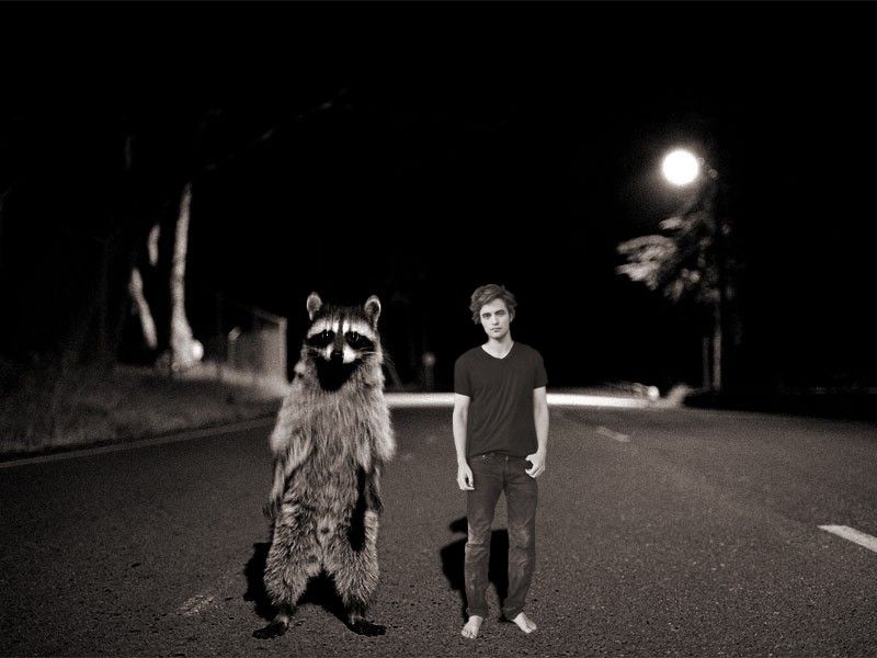 Racoon grabs his hand and they do backflip in unison holding hands landing one their feet looking at you