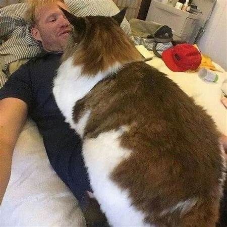 Come back and take a nap with a giant kitty cat again only at Psychedelic fantasy castle head and shoulders portrait, 8k resolution concept...