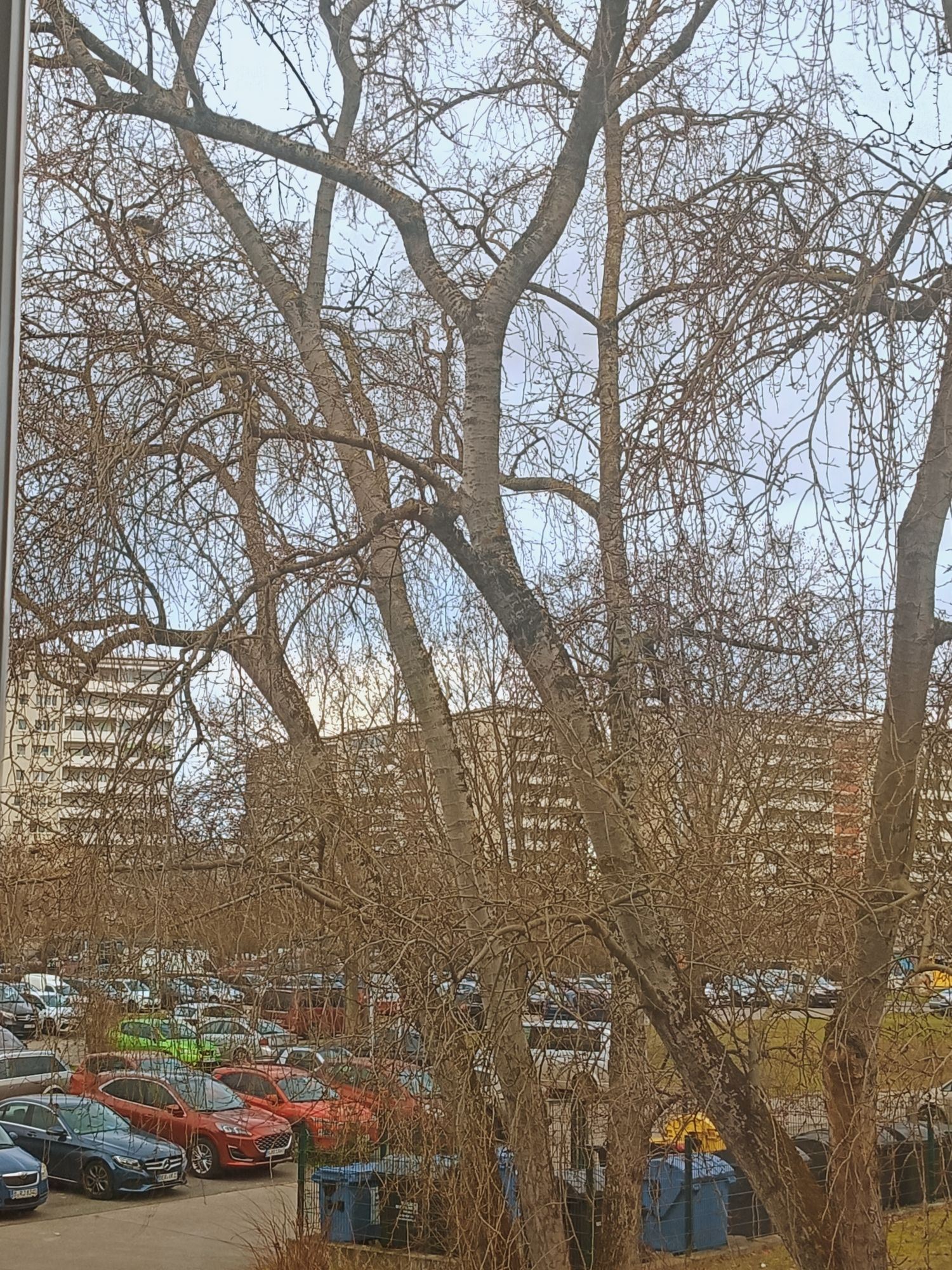 photorealistic photography of an interior with oil painting abstract branches on the walls of a curvy brutalist living room design, red, yel...