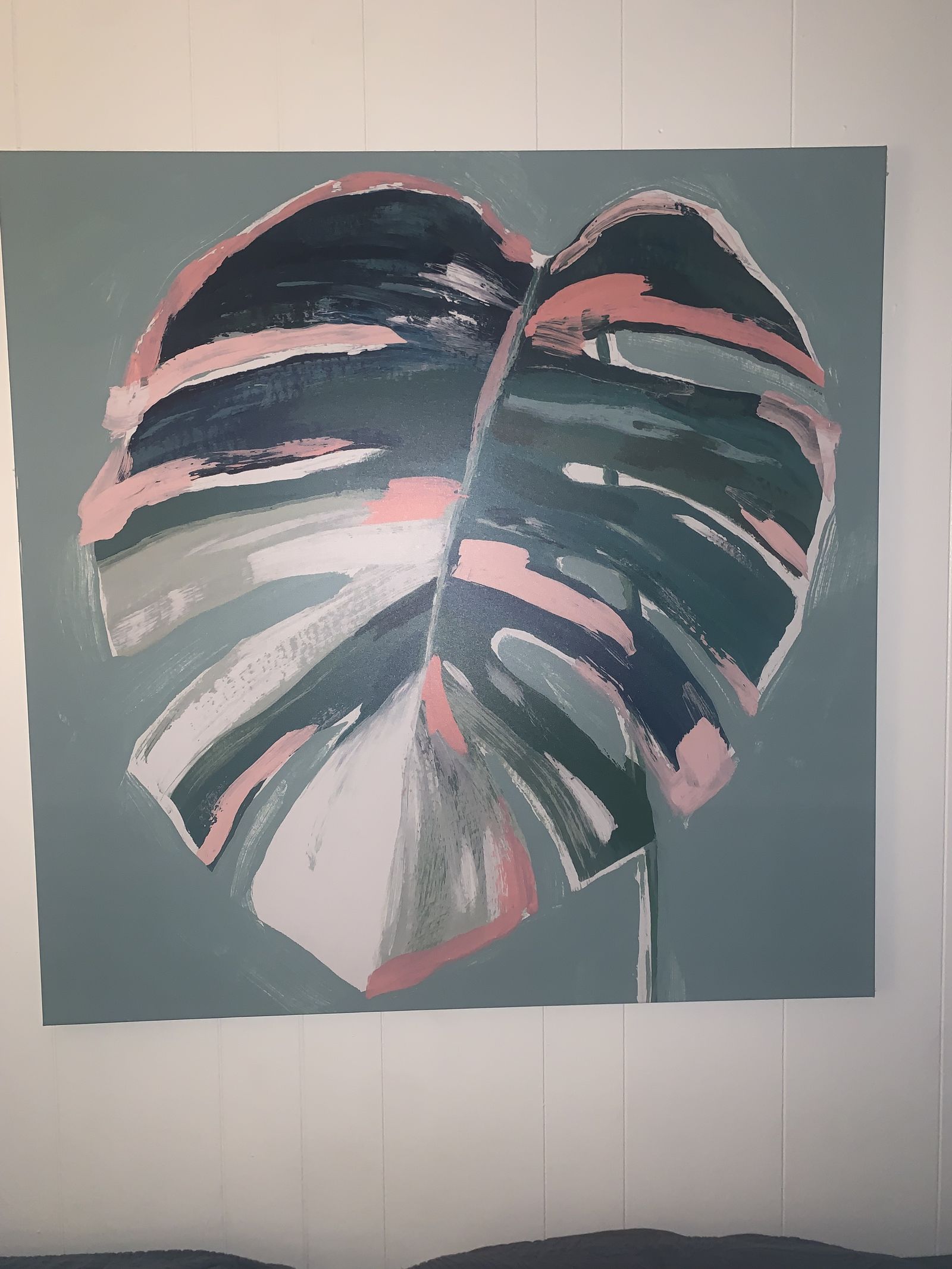 Monstera_deliciosa