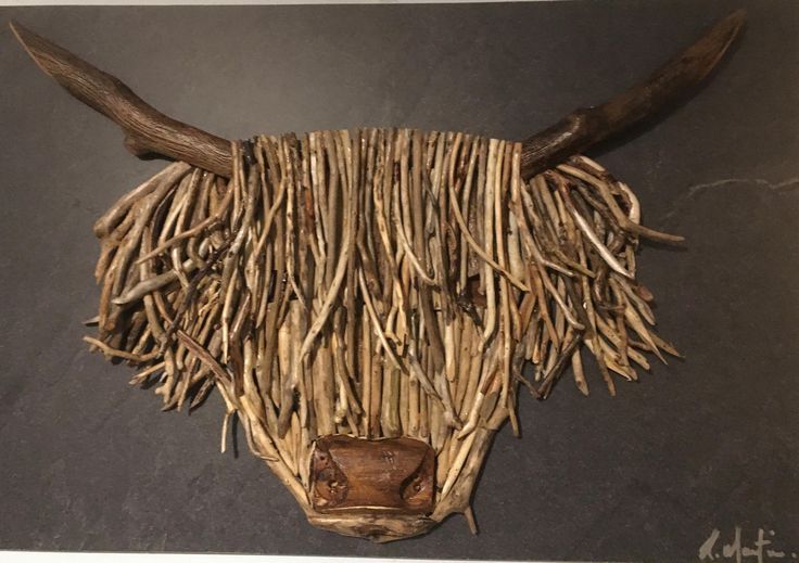  Highland cow portrait made of sticks,