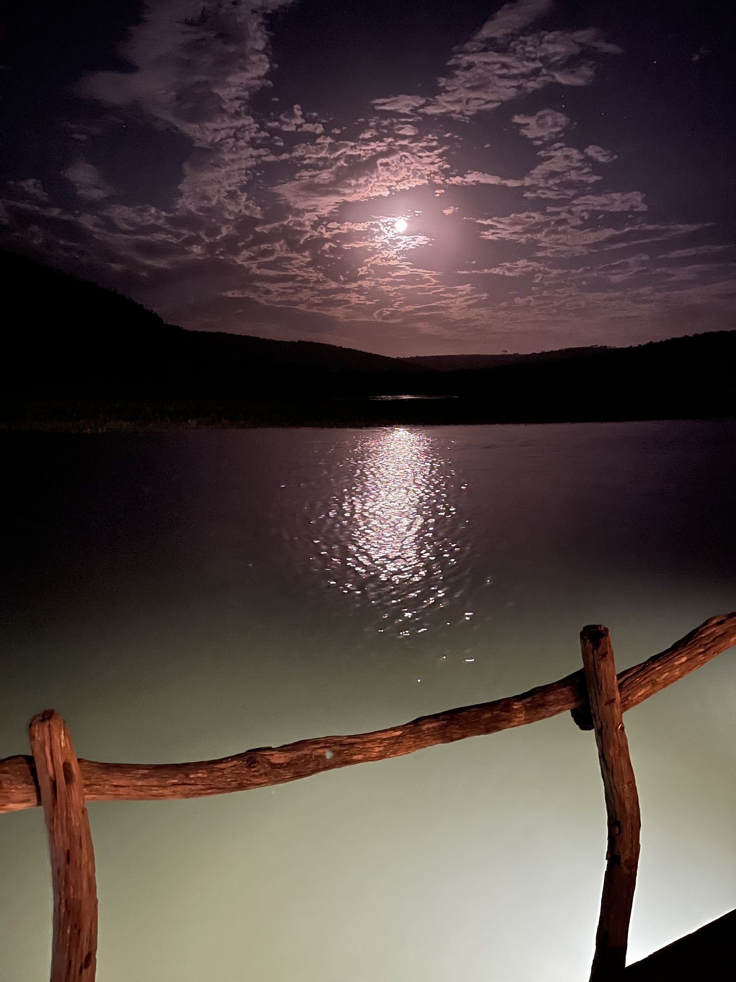 Image uploaded by user