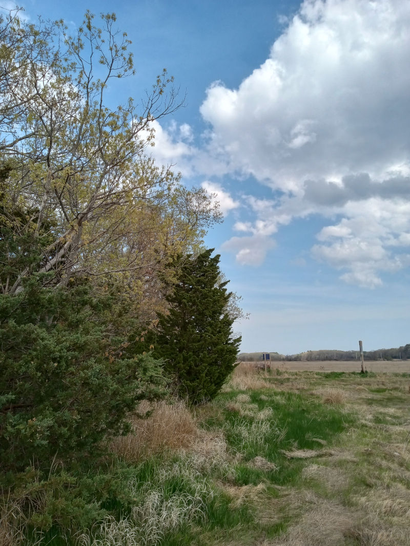 Image uploaded by user