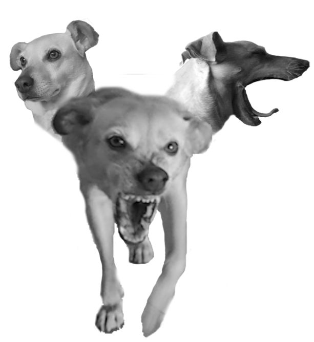 Hyperrealistic, splash art, concept art, mid shot, intricately detailed, color depth, dramatic, 2/3 face angle, side light, colorful backgro...