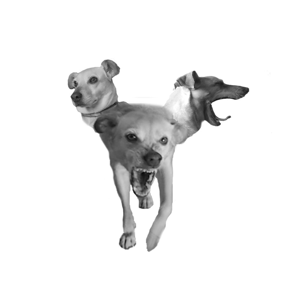 A black and white sketch of Cerberus the three headed dog who guards hell gates. Hyperrealistic, splash art, concept art, mid shot, intrica...