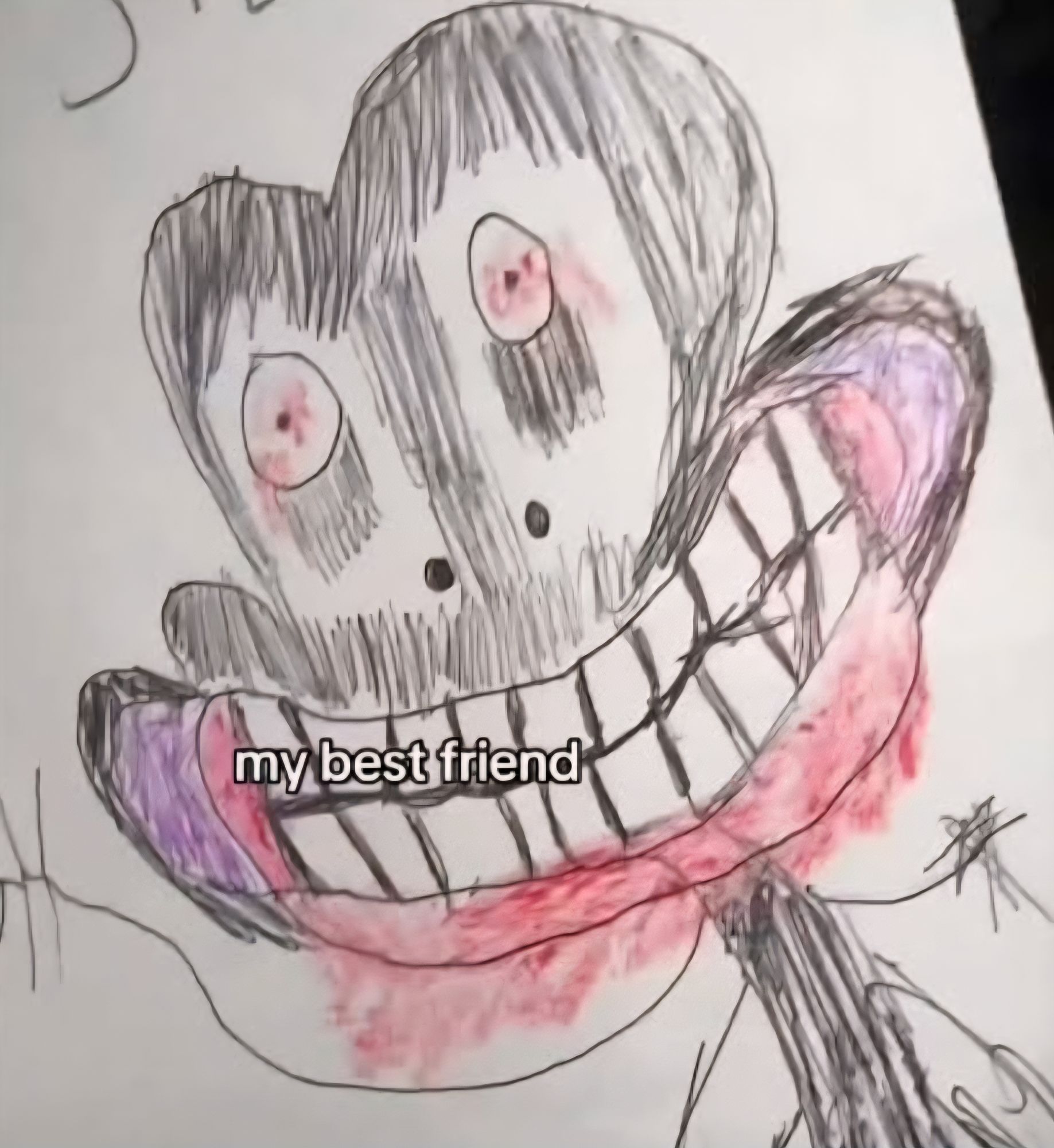 My Best Friend,  Steve 