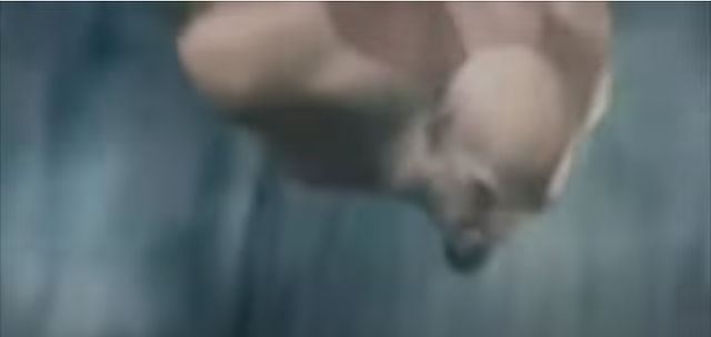 Image uploaded by user