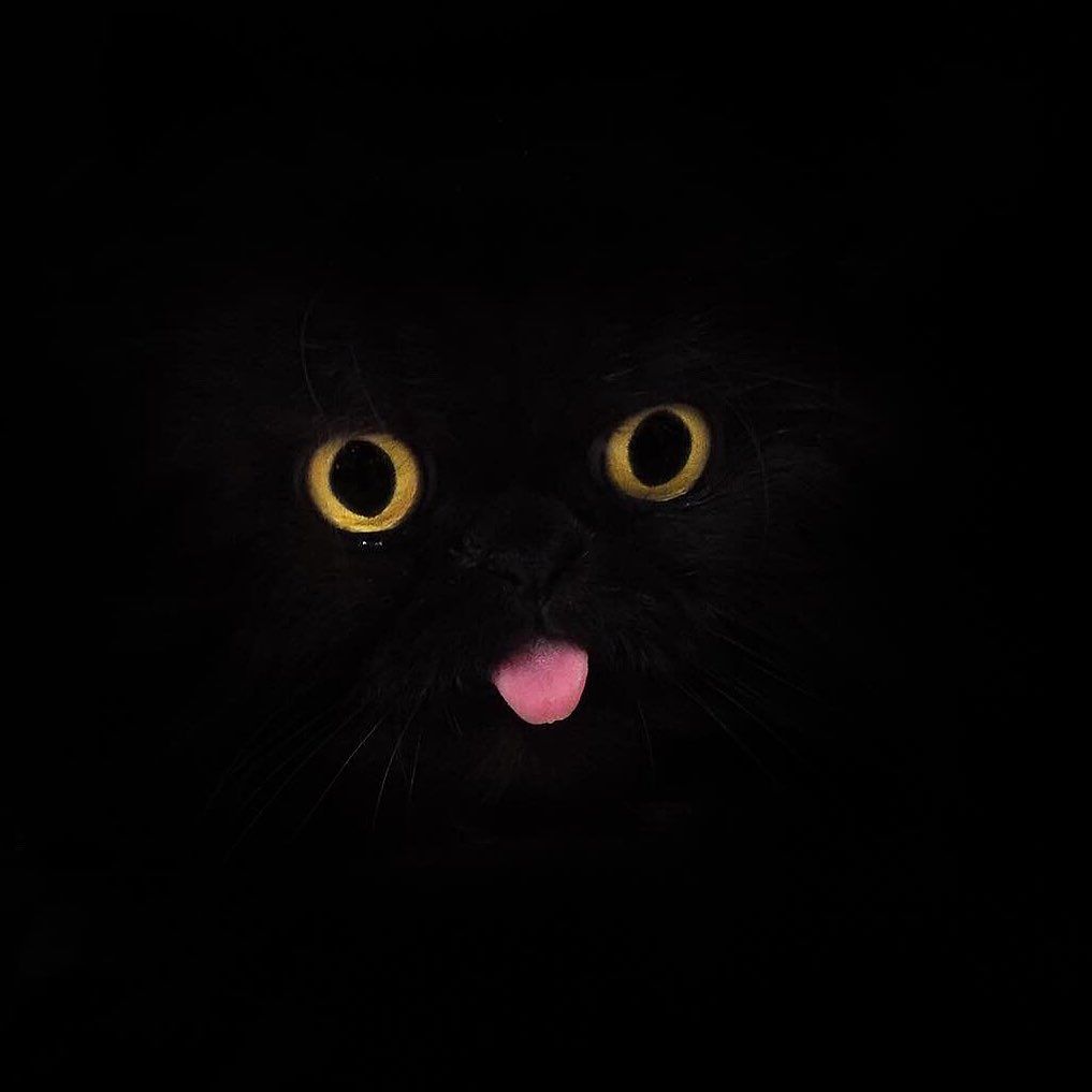 missmorgueanna