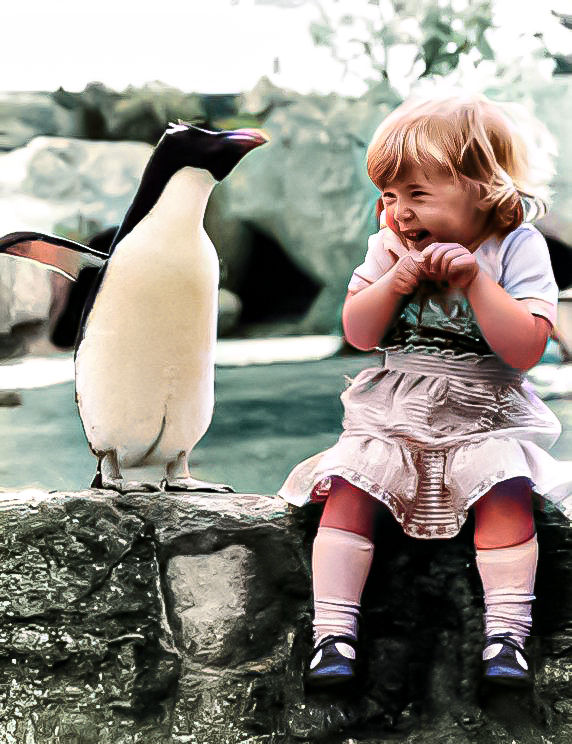 Image uploaded by user