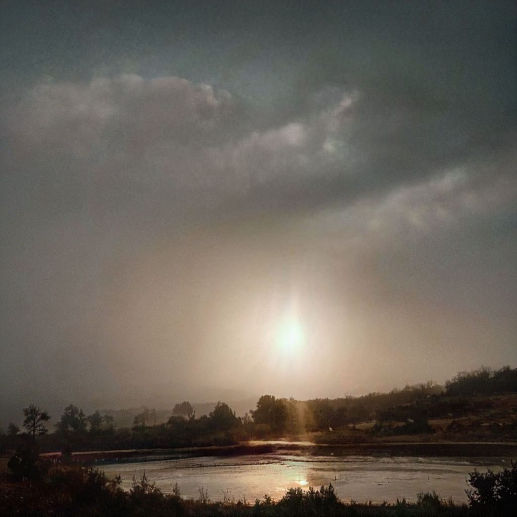 Wolf und Fuchs Medien