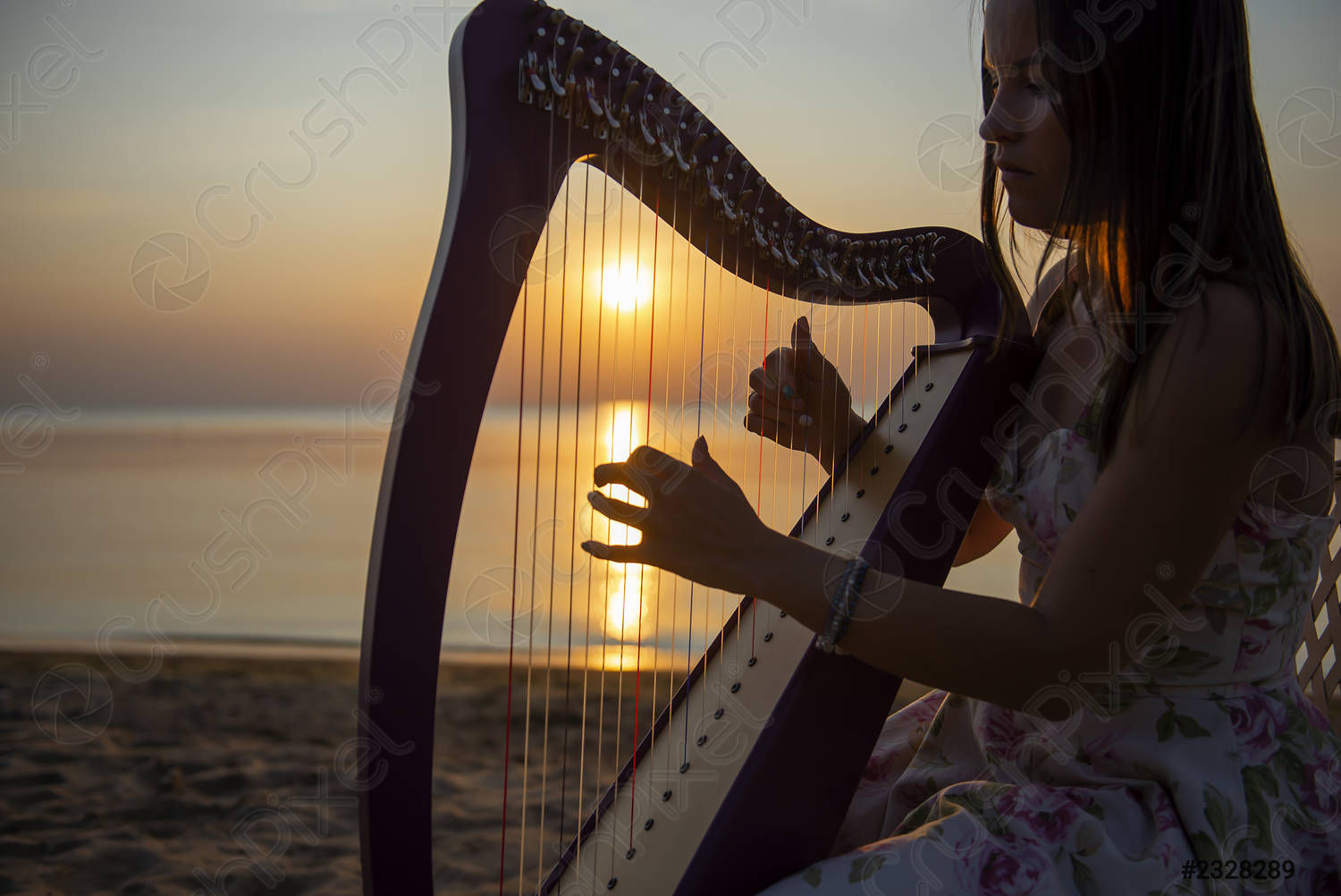 the iconic picture of a gorgeous  faerie woman playing harp,dressed with a red and black dress with laces and intricate patterns, long needl...