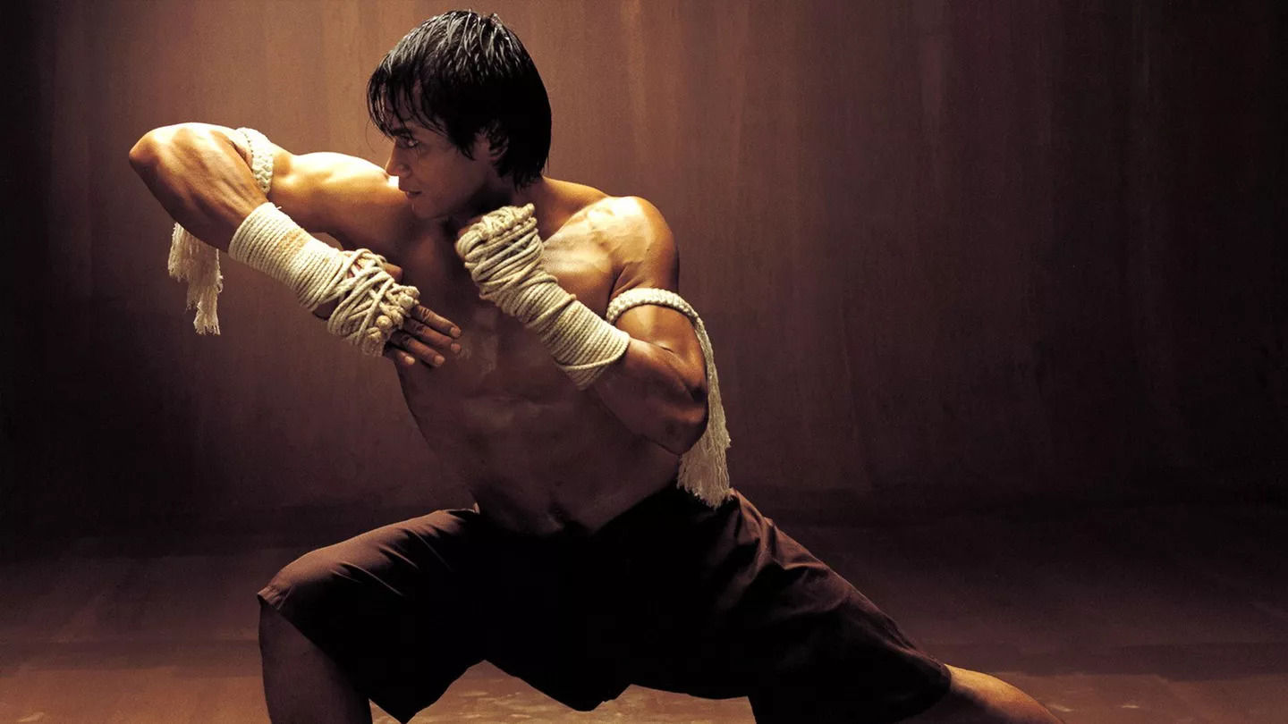 the iconic and stunning picture of a gorgeous martial art woman fighter, muscular and shredded with apparent veins, tatoo, wearing a bra and...