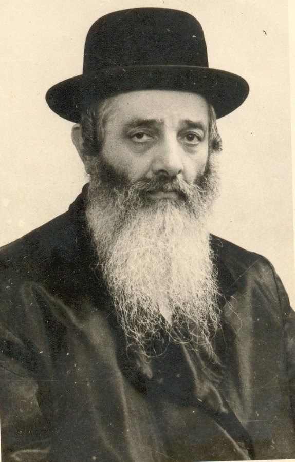 Create for me this picture of a tulip wearing an old Streimel on his head