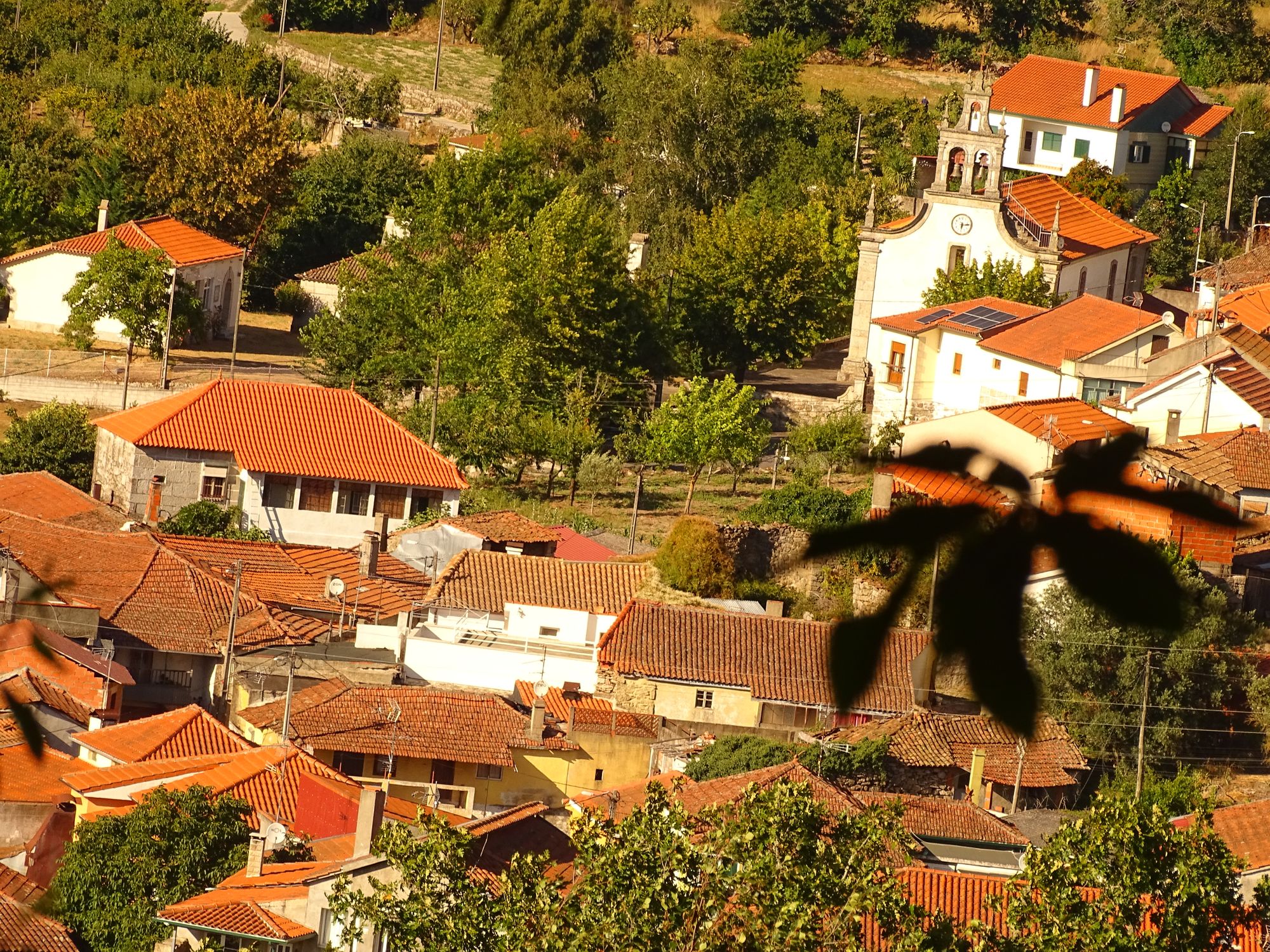 Image uploaded by user