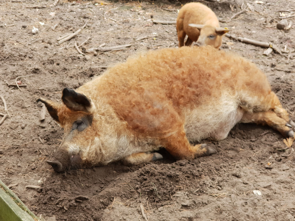 David nftcryptoartist