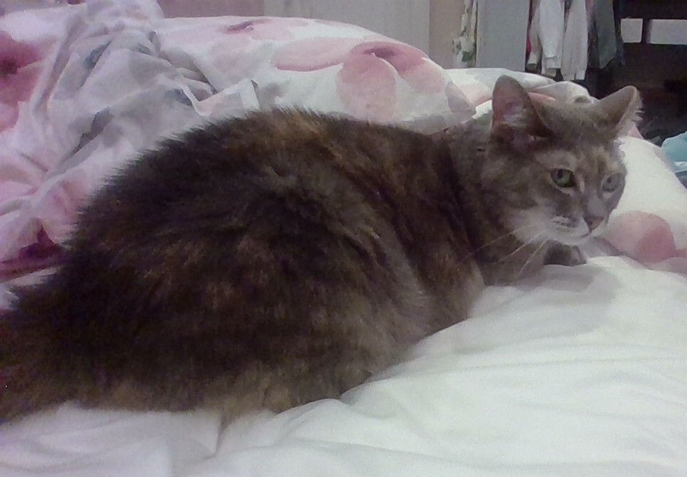 beautiful women dancing in the autumn breeze with music notes dancing around her while she plays the violin