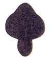 Rootfo