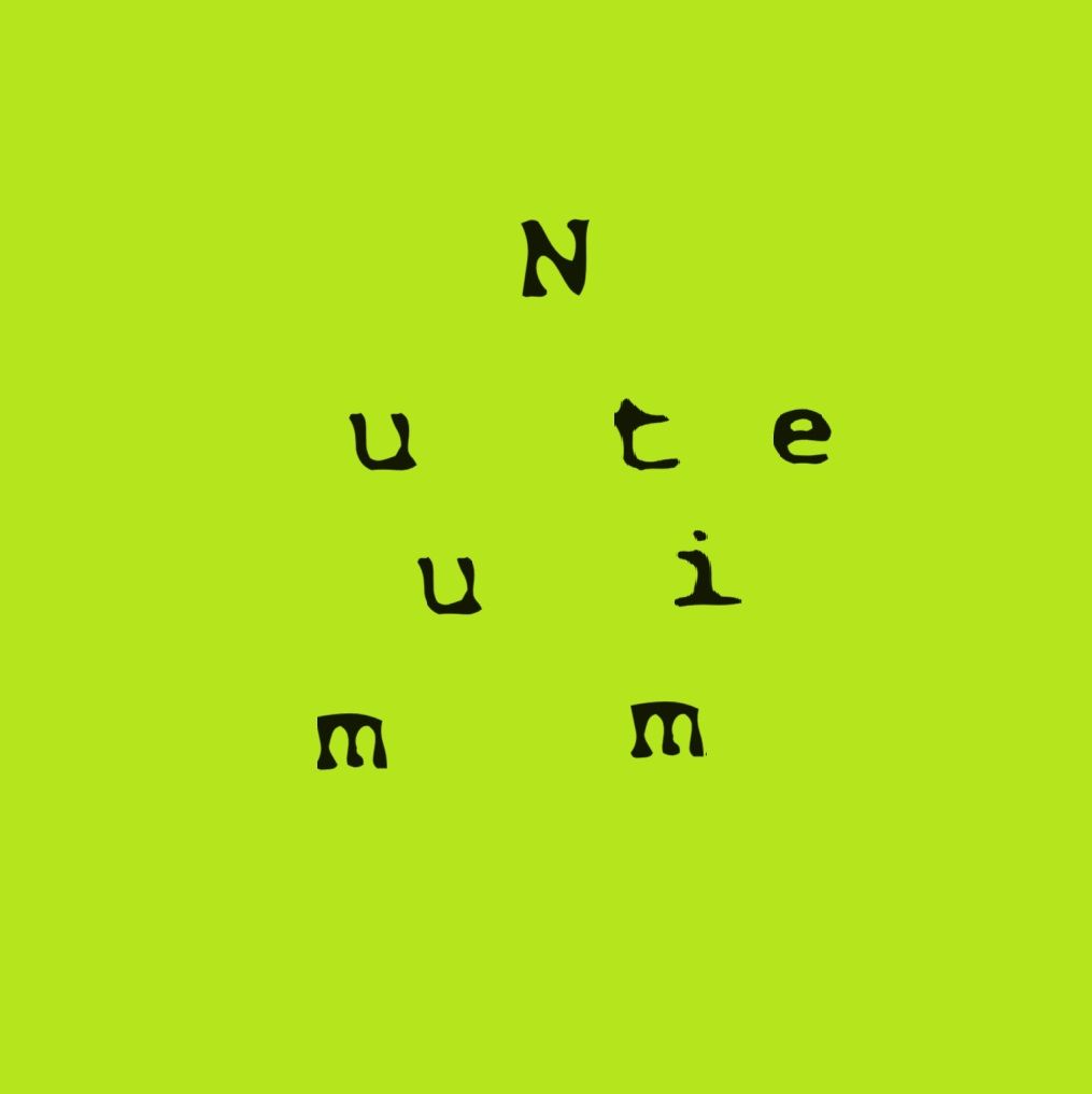 Nuummite