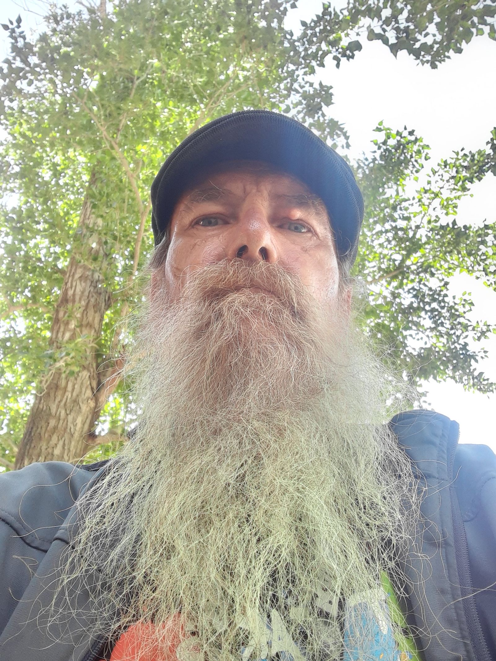 Scott Bibler 