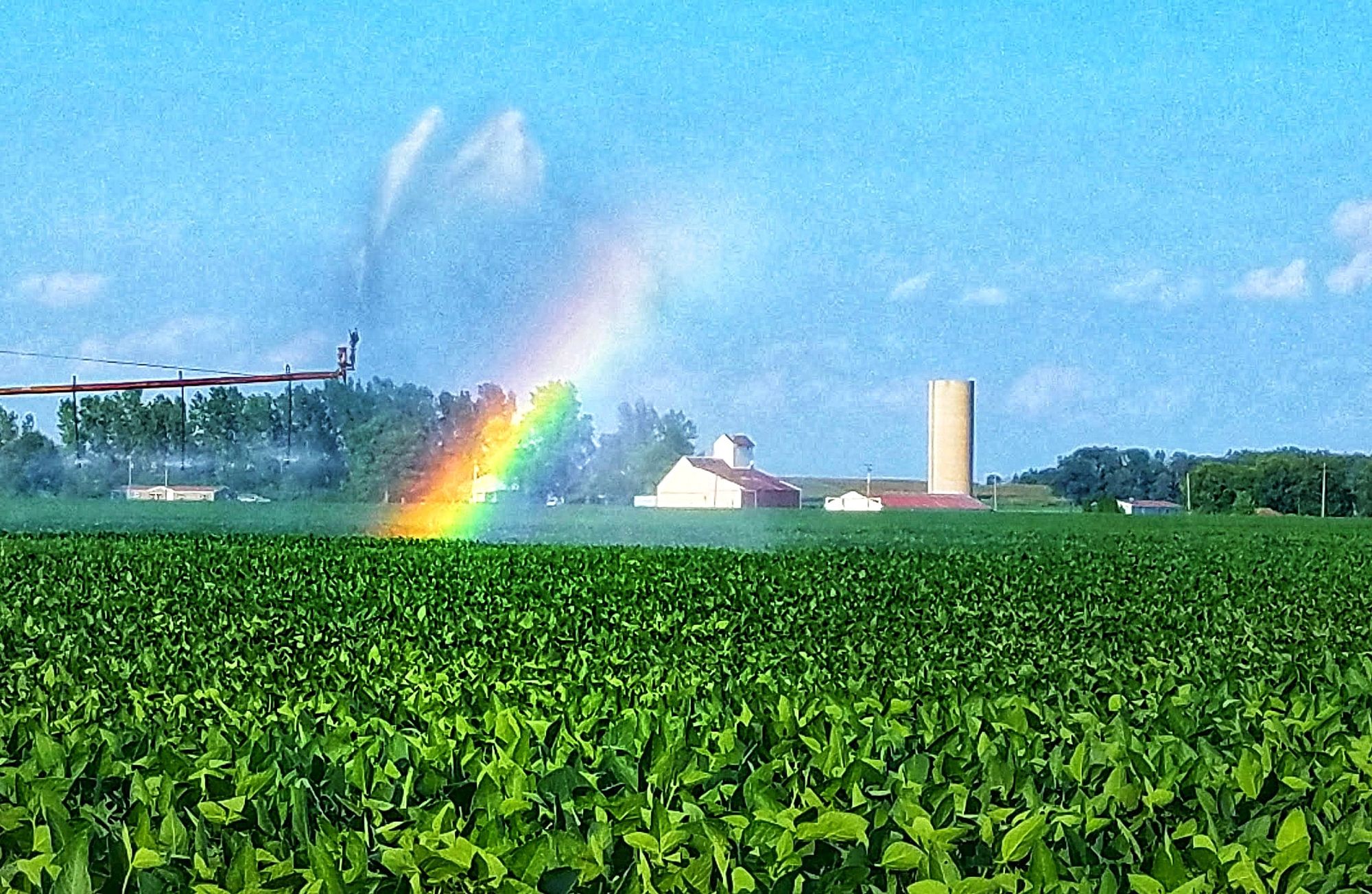 Indiana cornfield irrigation blue skies biplane sunset