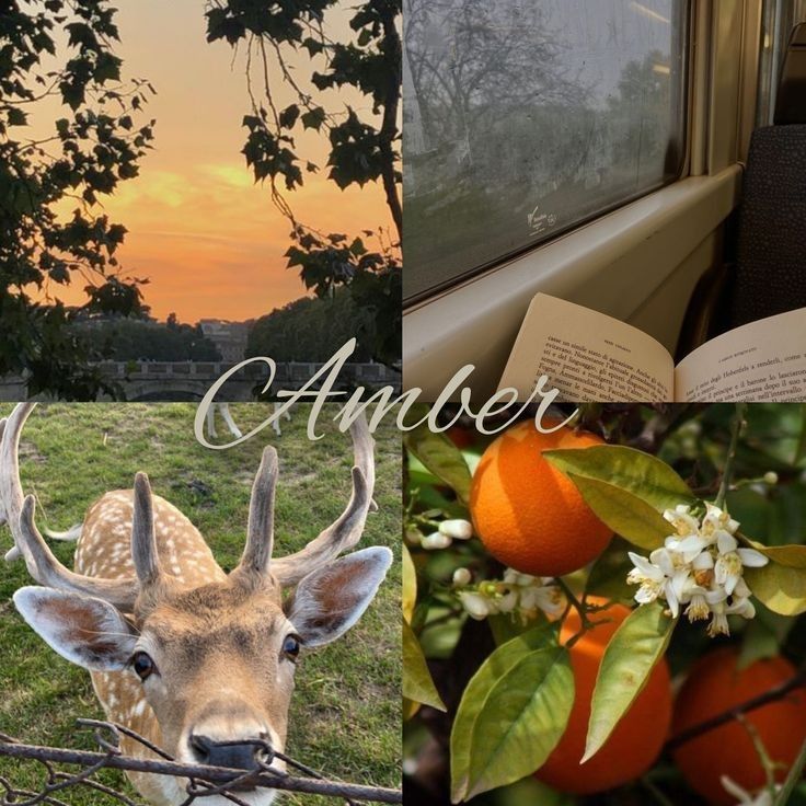 Amber