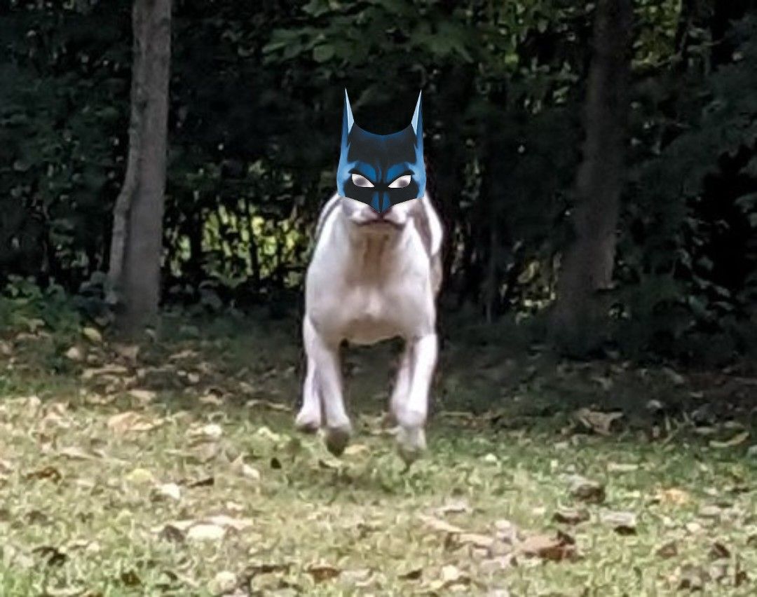 Data center of my mind 