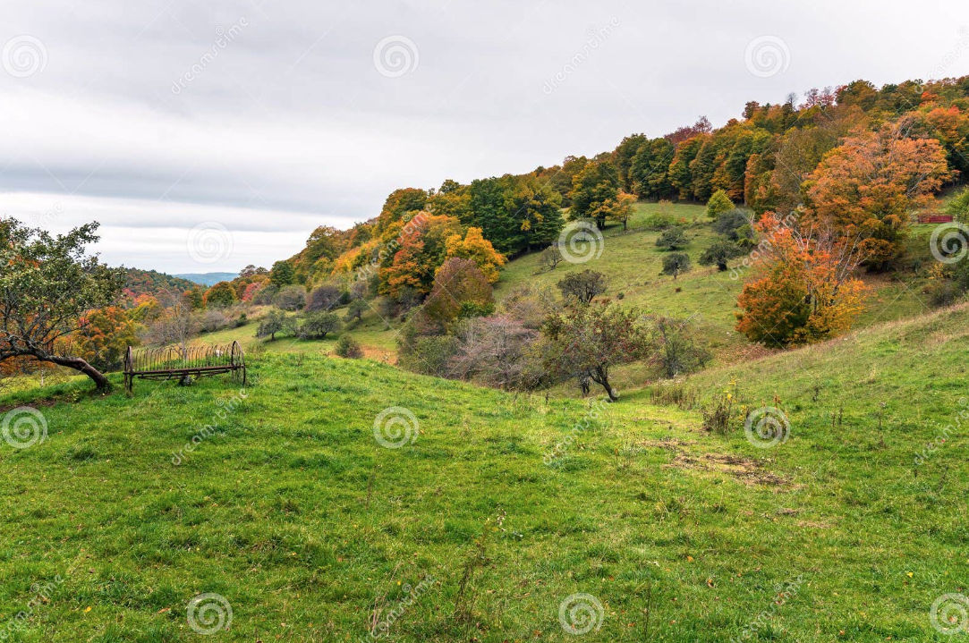 A steep hill with an ominous forest on top, standing stones and fencing surrounding the bottom. Low perspective looking up the hill. Rural N...