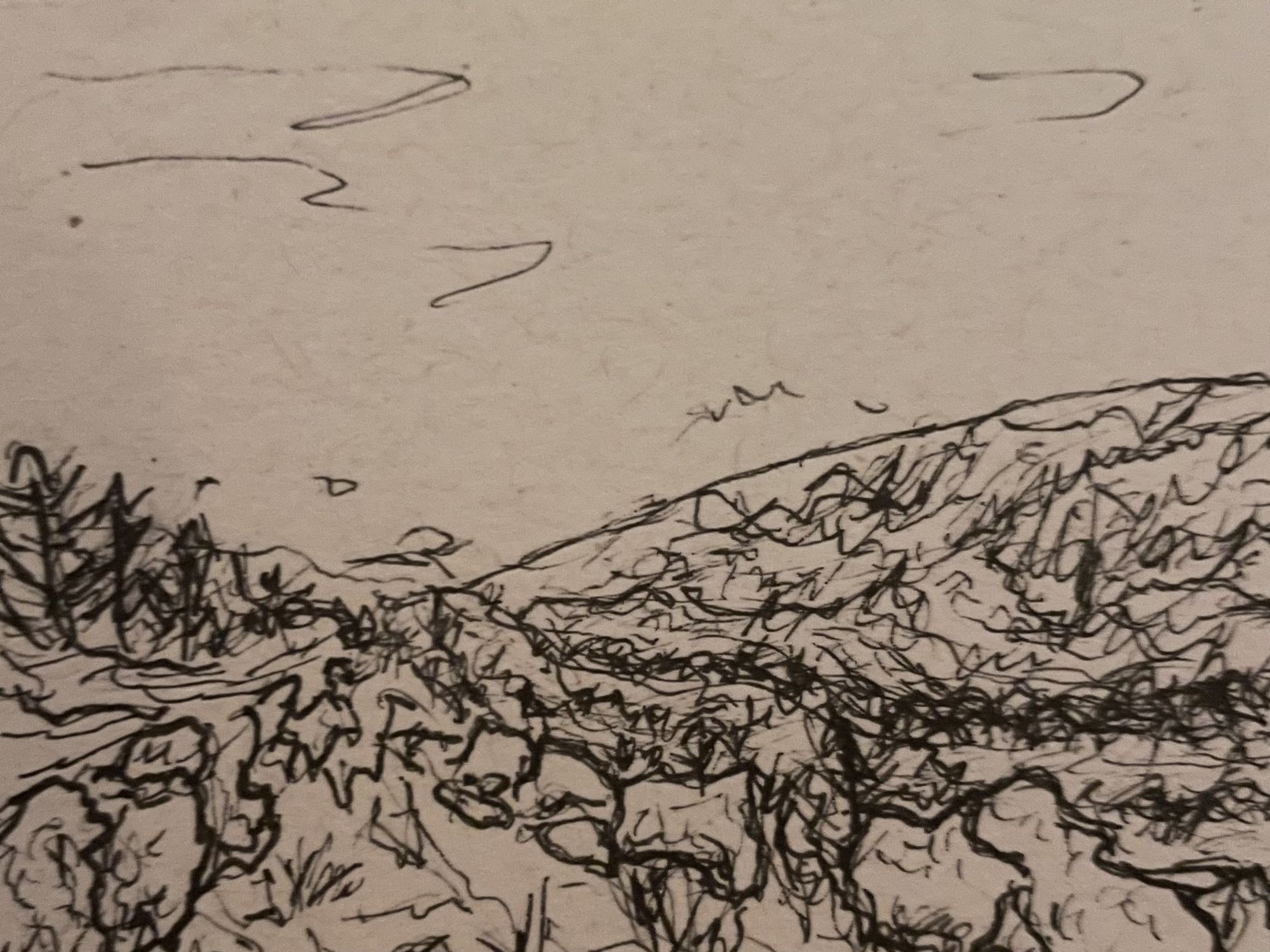 A rough ocre green bush and tree landscape, along a valley in the Provence in France.  It blasts out of the painting with a modern impressio...