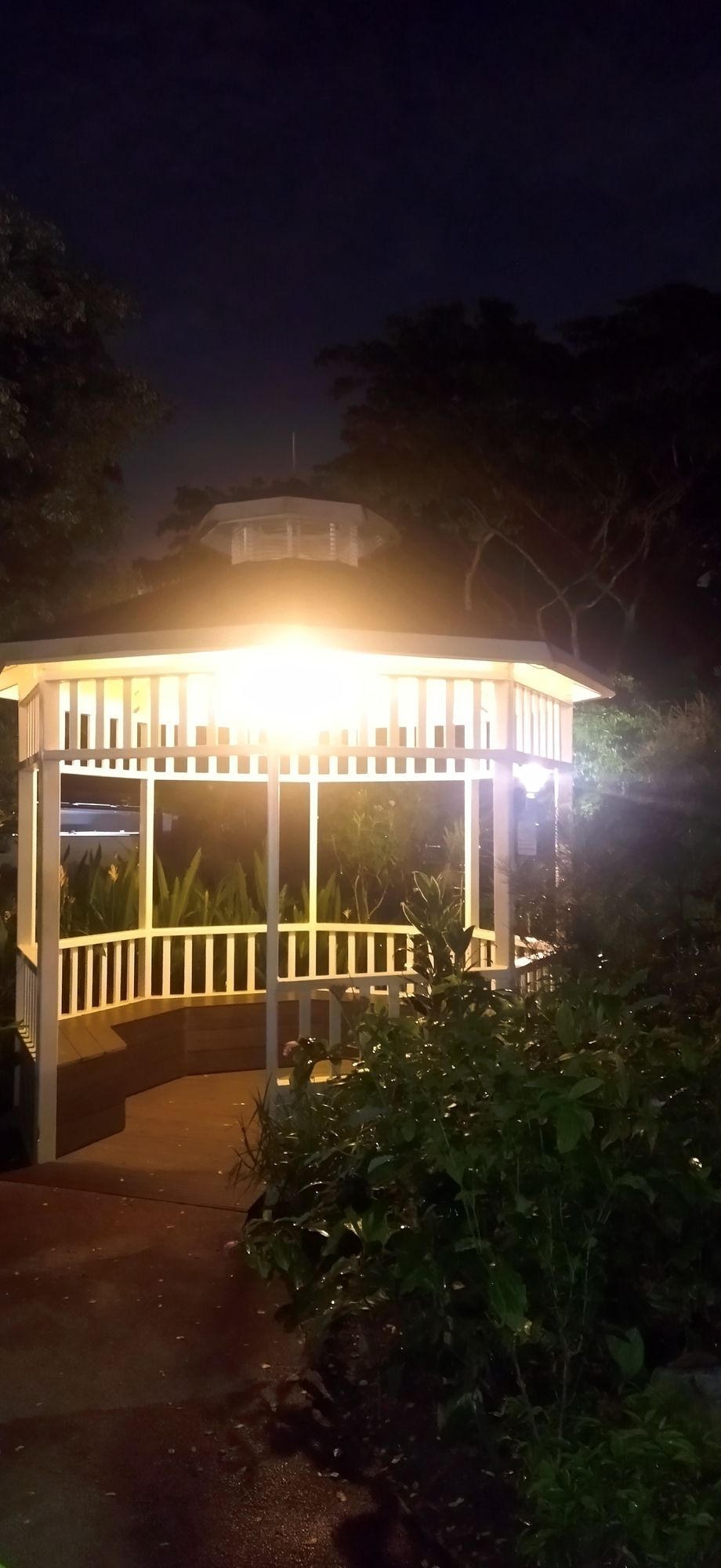 Monalisa, lady gaga, running in the sport arena