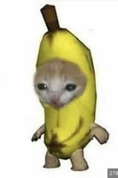 banana cat