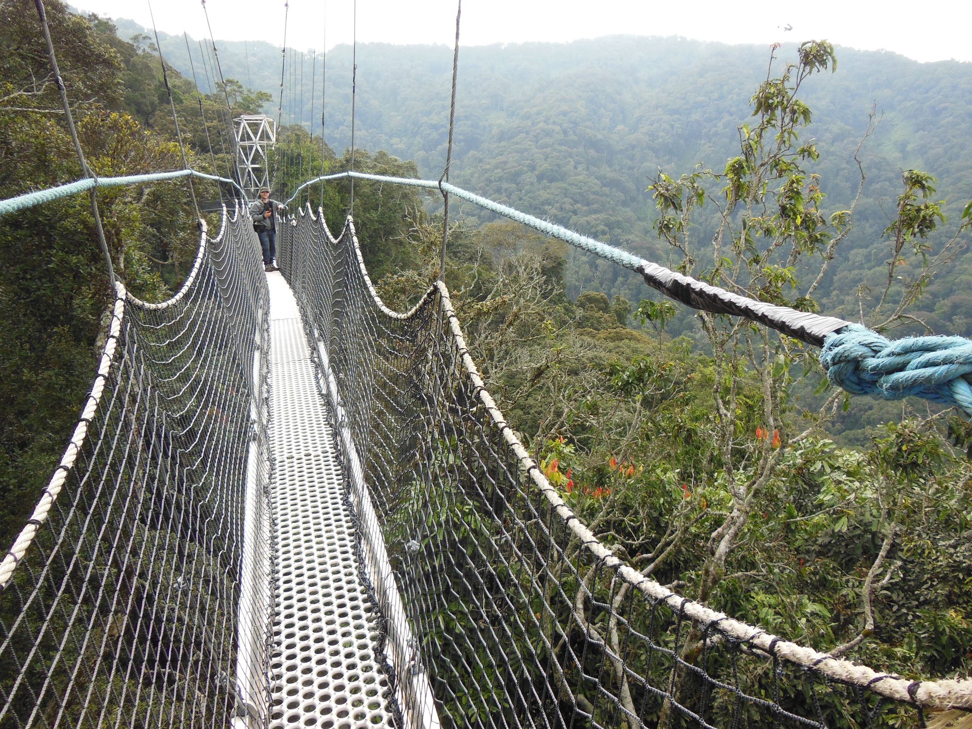 a rope bridge