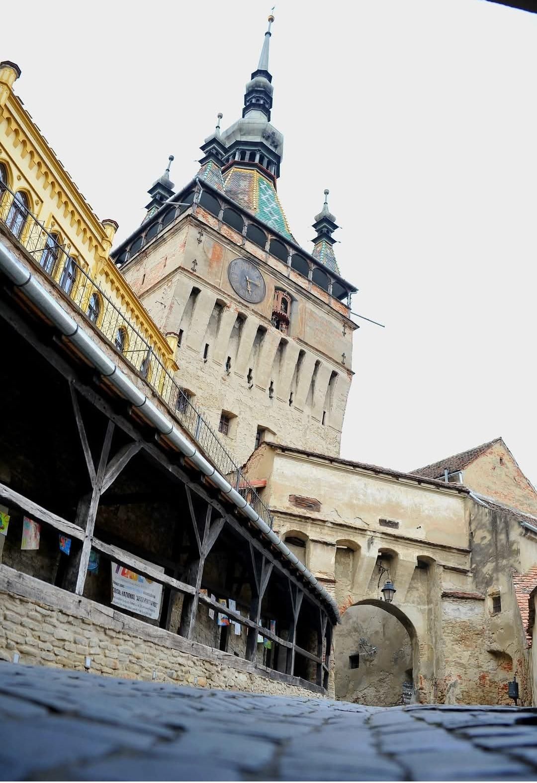 margins contour sketch from image 
