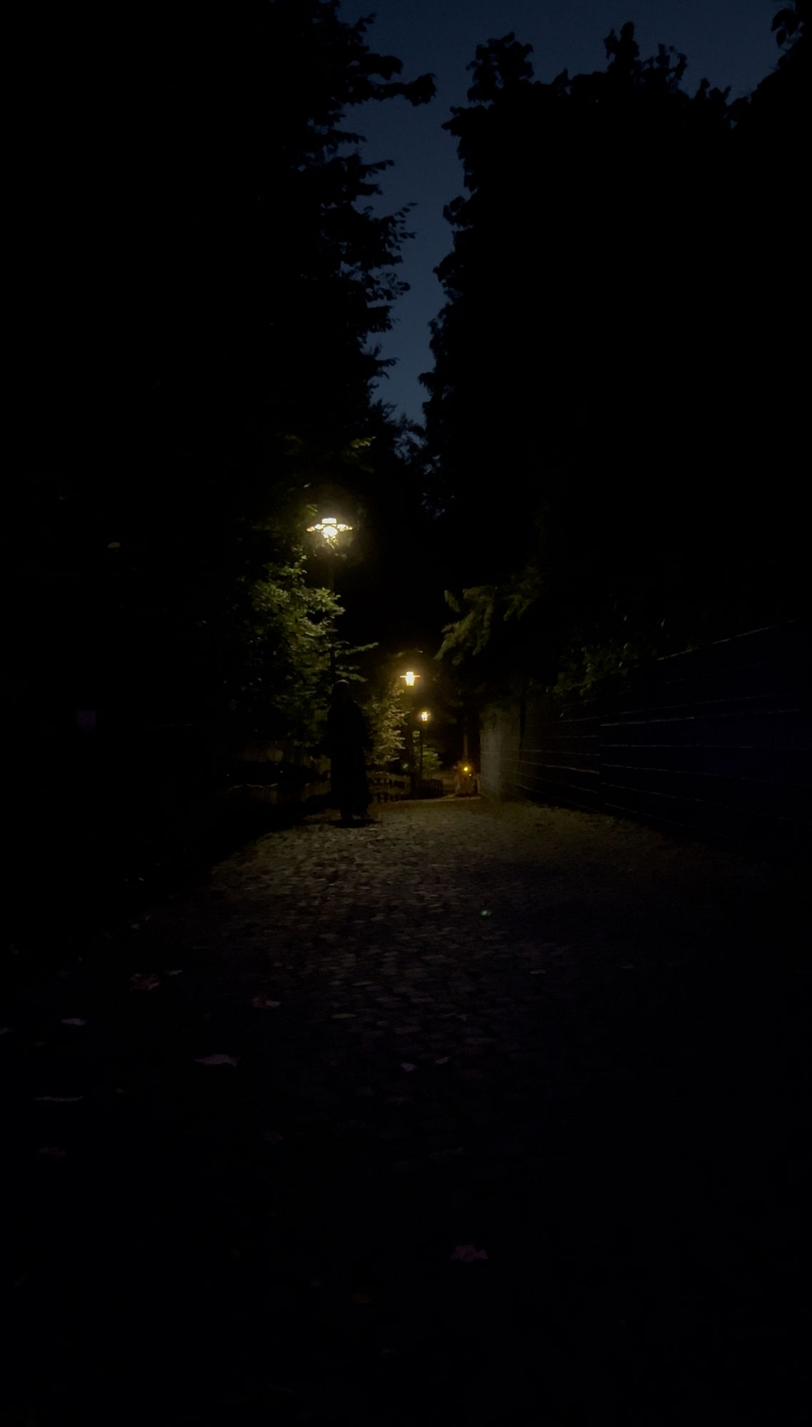 Me standing under a glowing streetlamp on a foggy night, barely visible silhouette, emphasizing loneliness and isolation, surreal atmosphere...