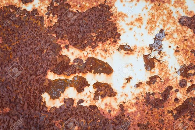 Image uploaded by user