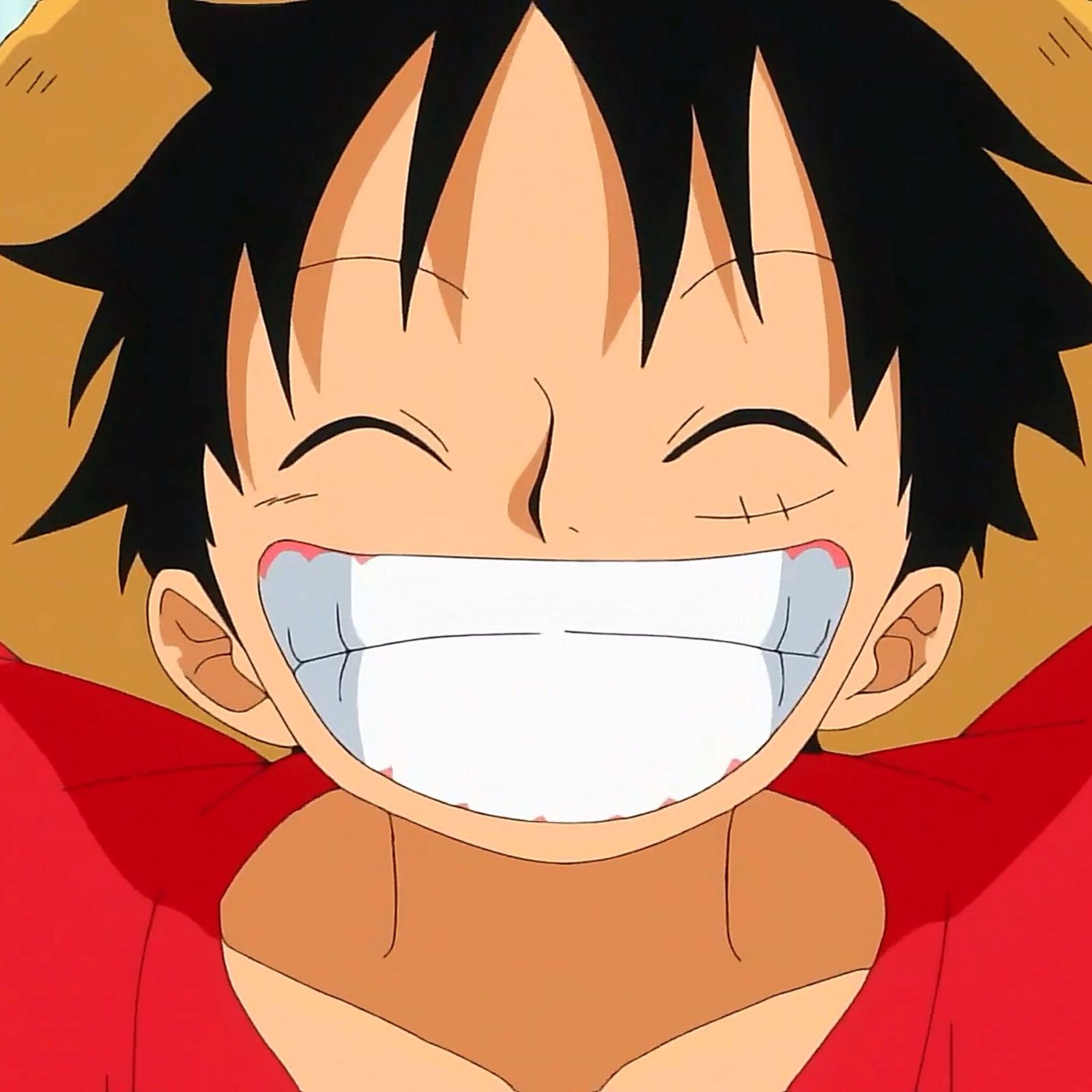 Monkey D Luffy