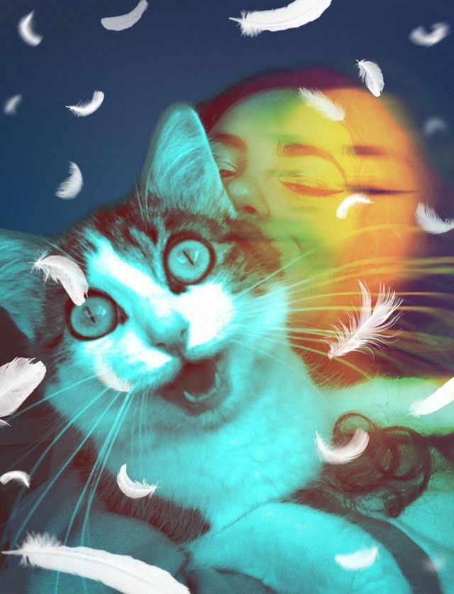 Image uploaded by user