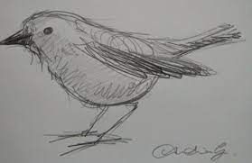 Image uploaded by user