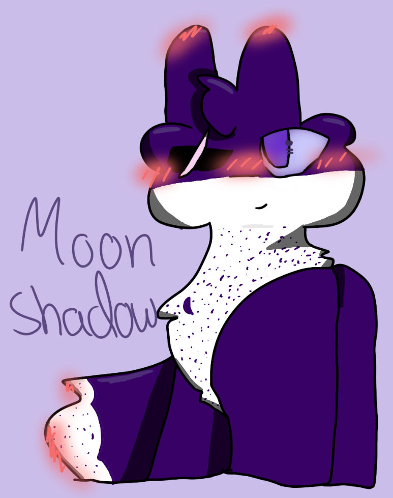 Moonshadowthewolf