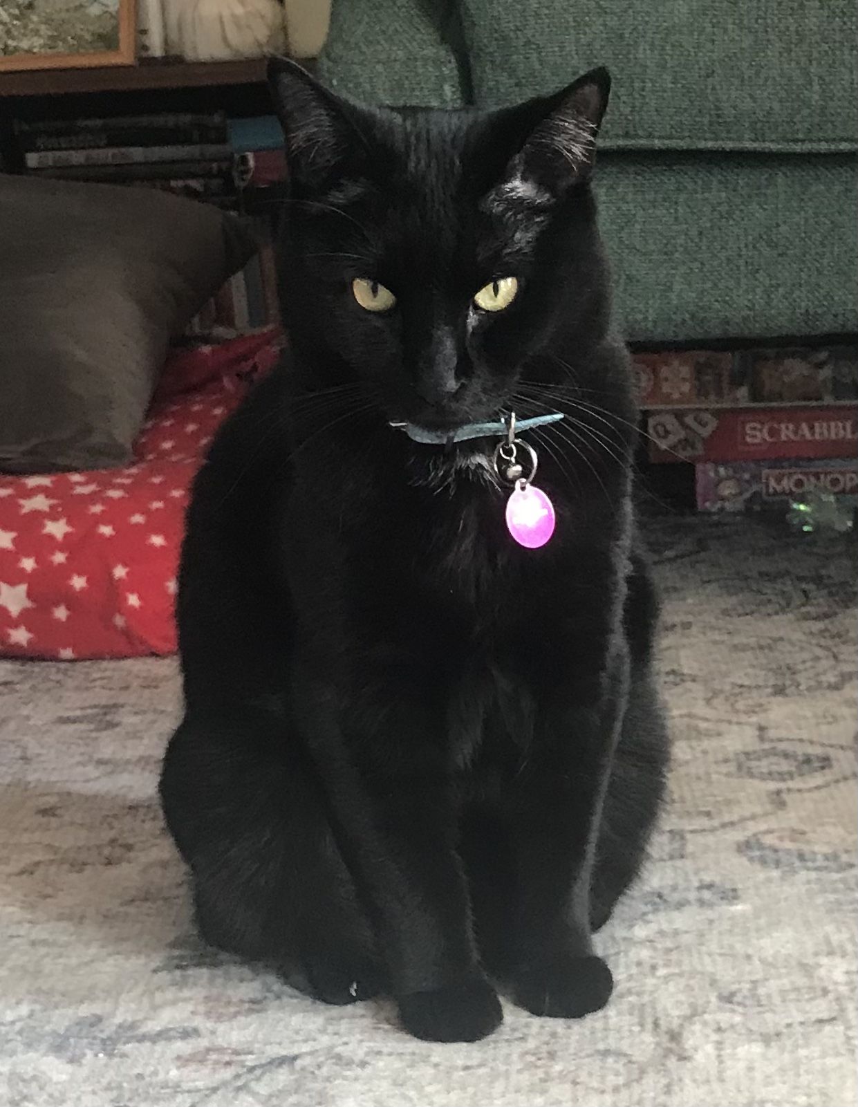 My kitty in watercolor