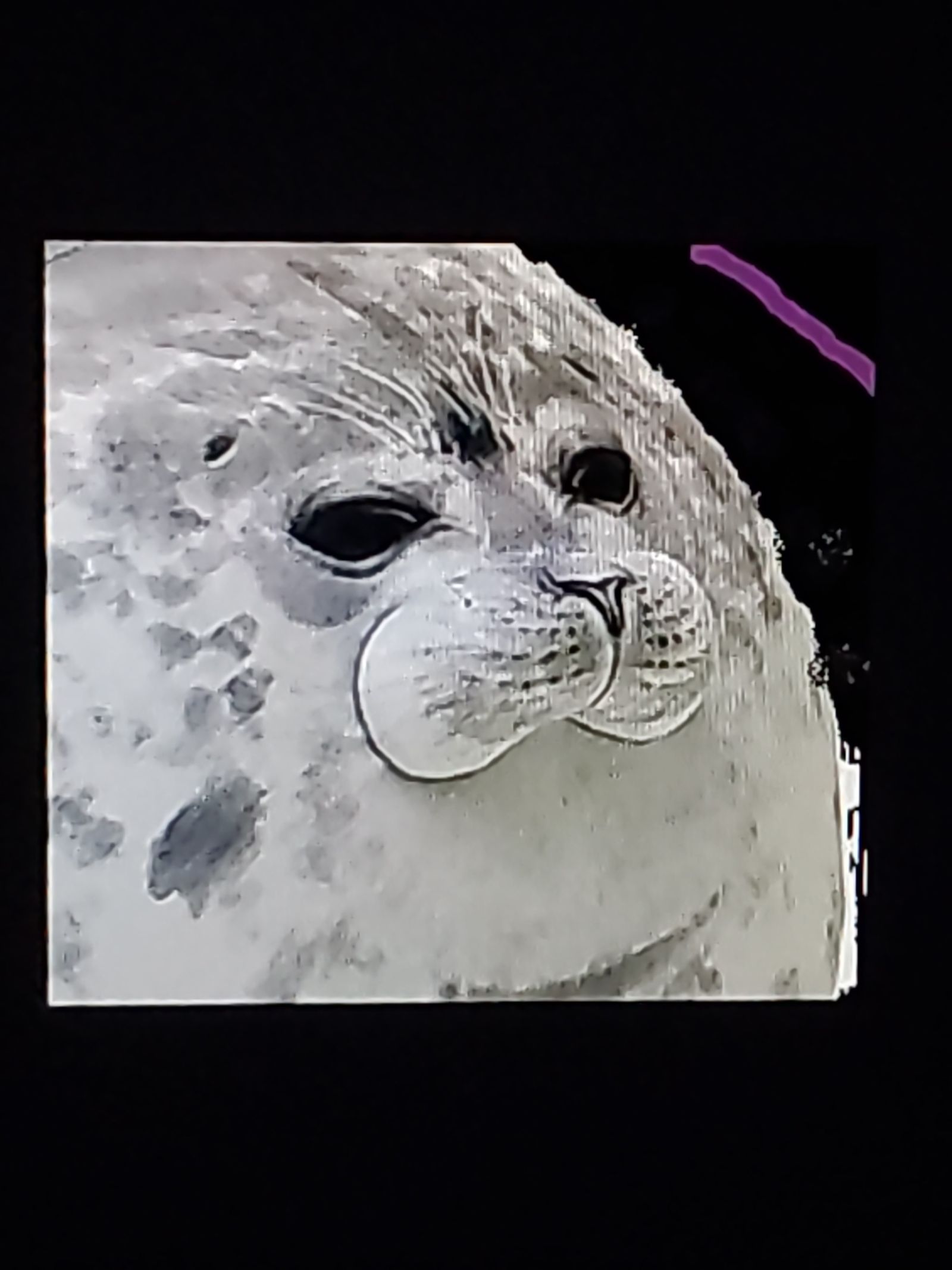 BigB_da_SEAL