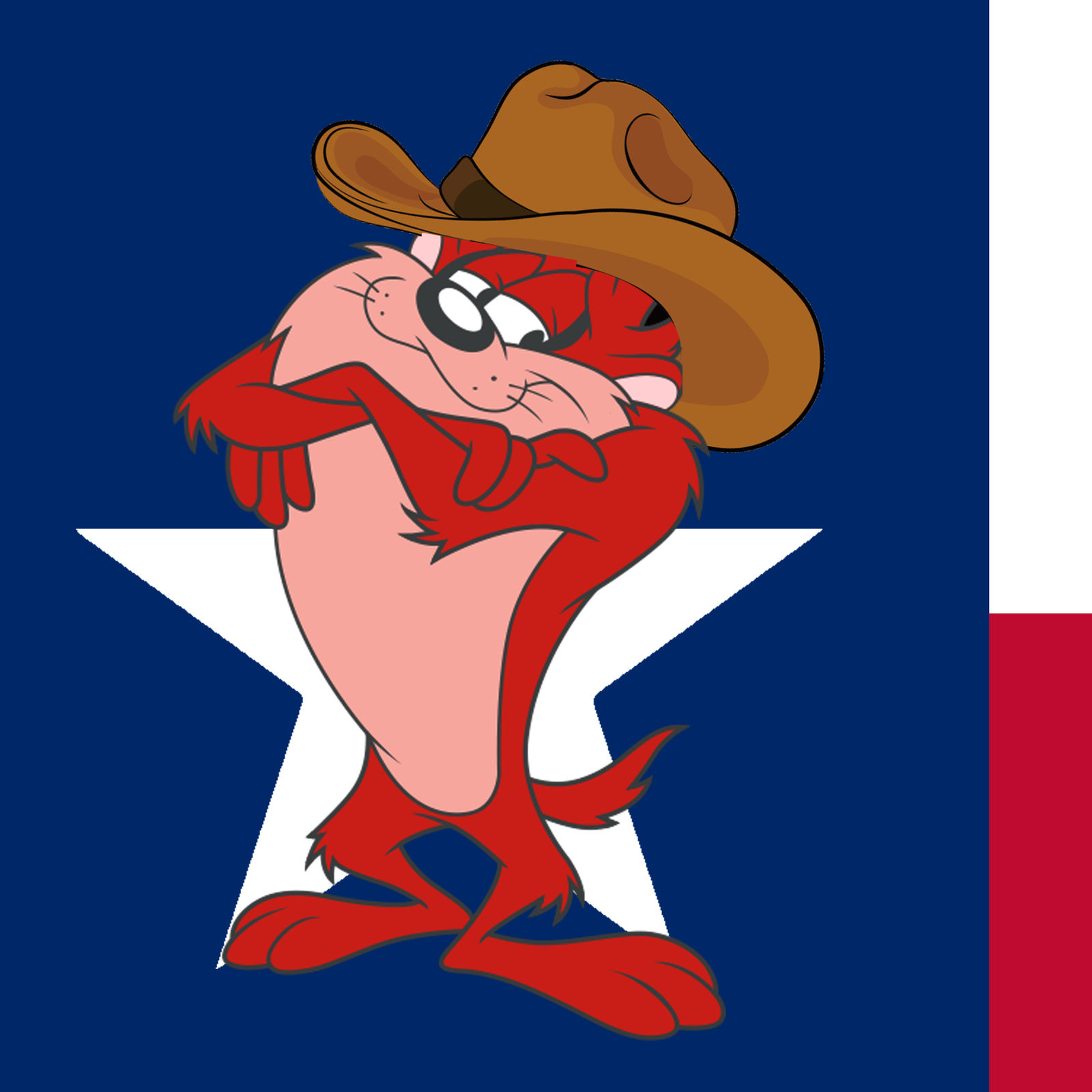 Texas Taz